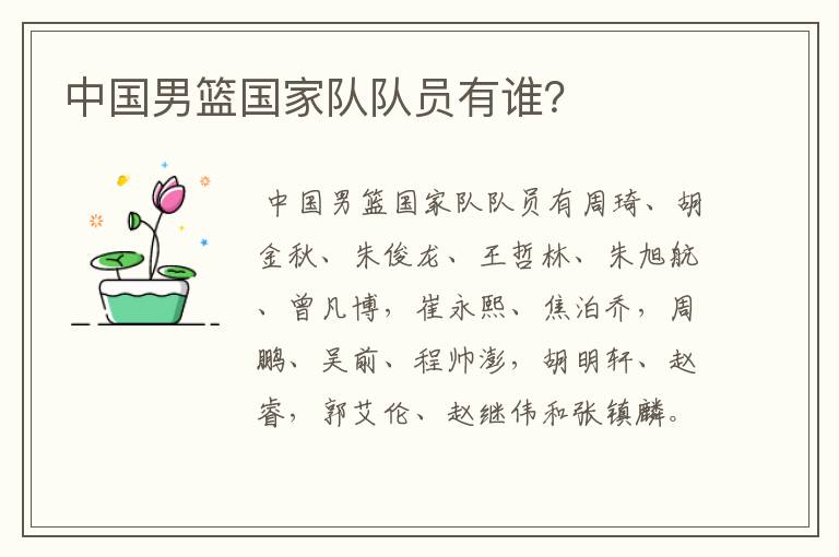 中国男篮国家队队员有谁?