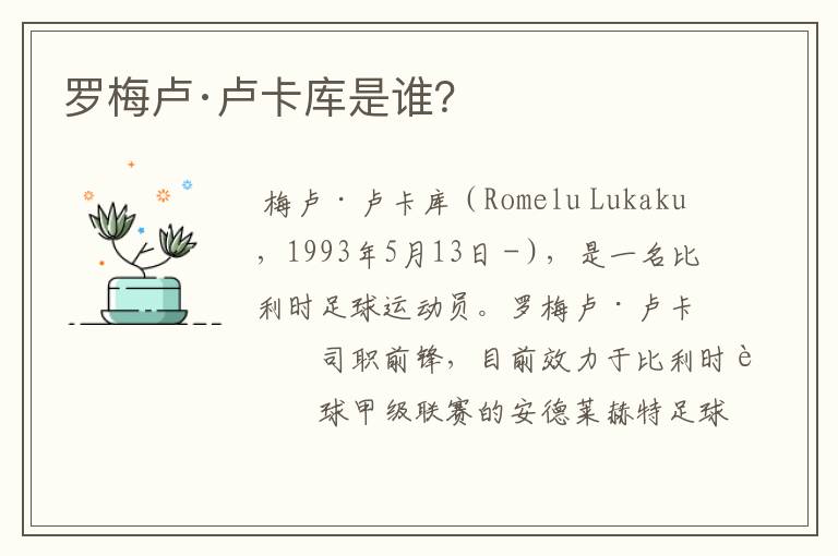 罗梅卢·卢卡库是谁?