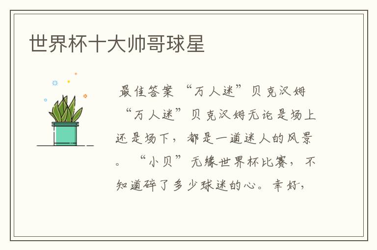 世界杯十大帅哥球星