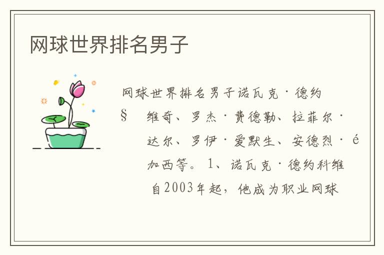 网球世界排名男子