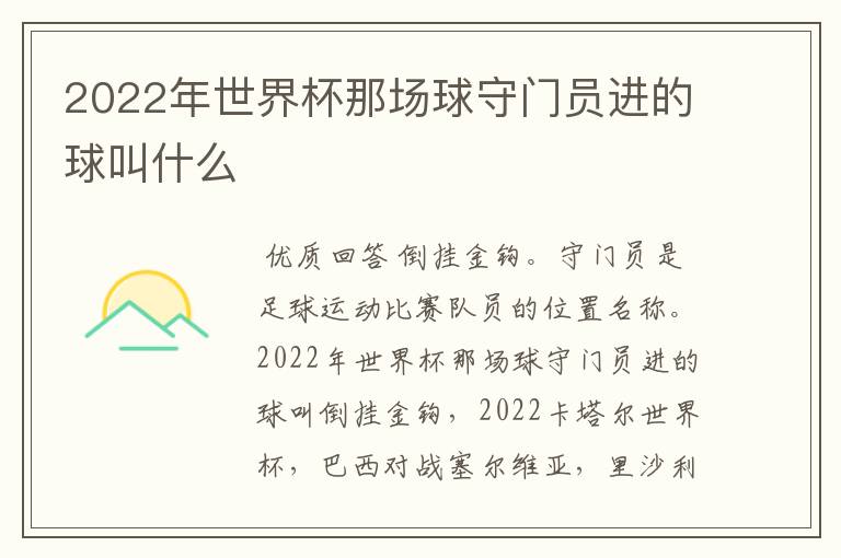 2022年世界杯那场球守门员进的球叫什么