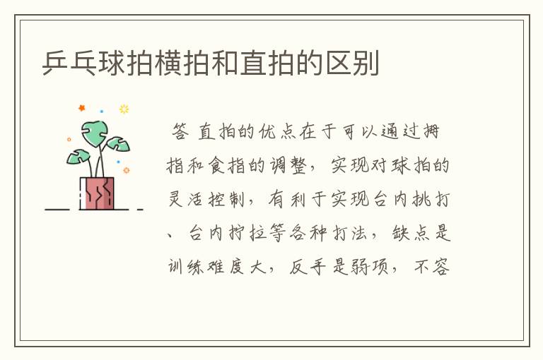 乒乓球拍横拍和直拍的区别