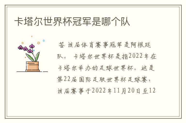 卡塔尔世界杯冠军是哪个队