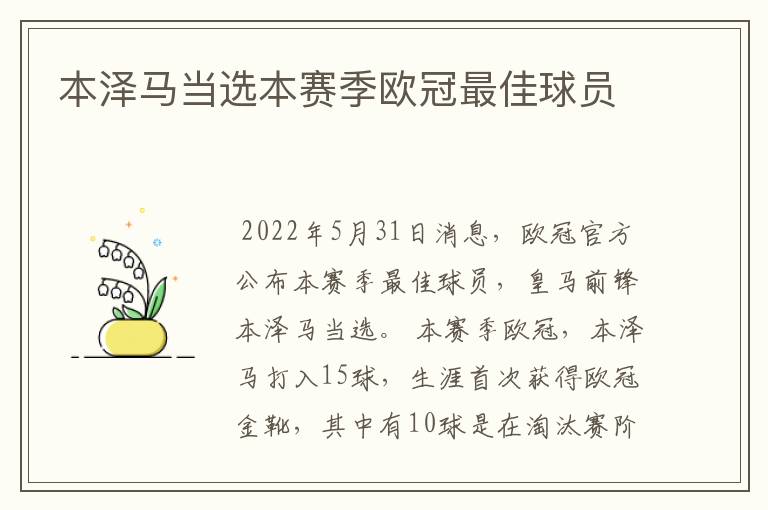 本泽马当选本赛季欧冠最佳球员