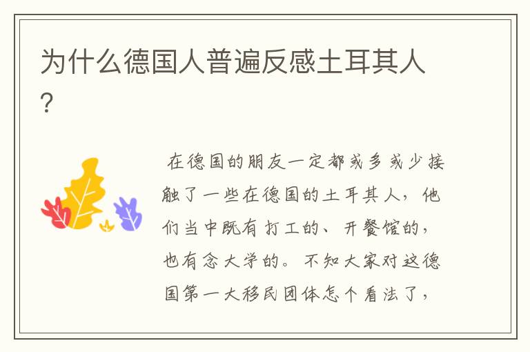 为什么德国人普遍反感土耳其人?