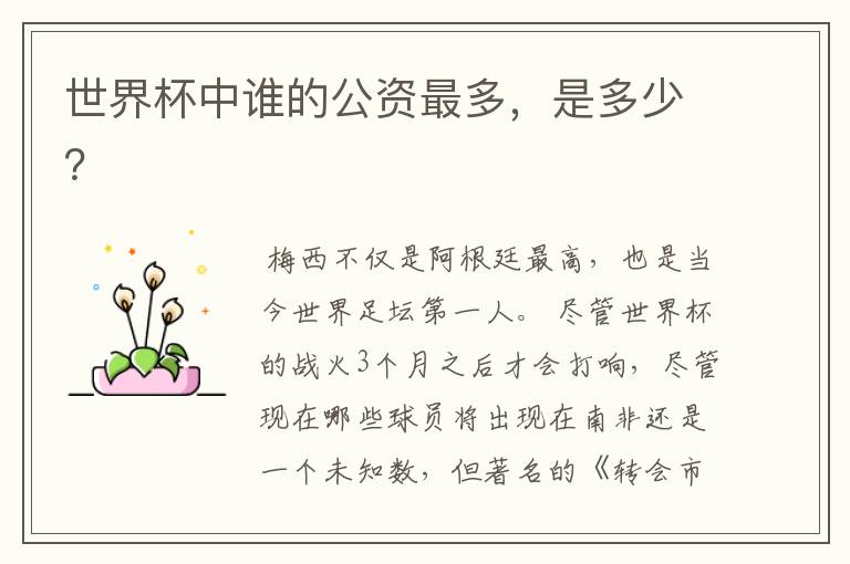 世界杯中谁的公资最多,是多少?