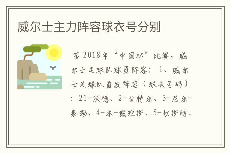 威尔士主力阵容球衣号分别
