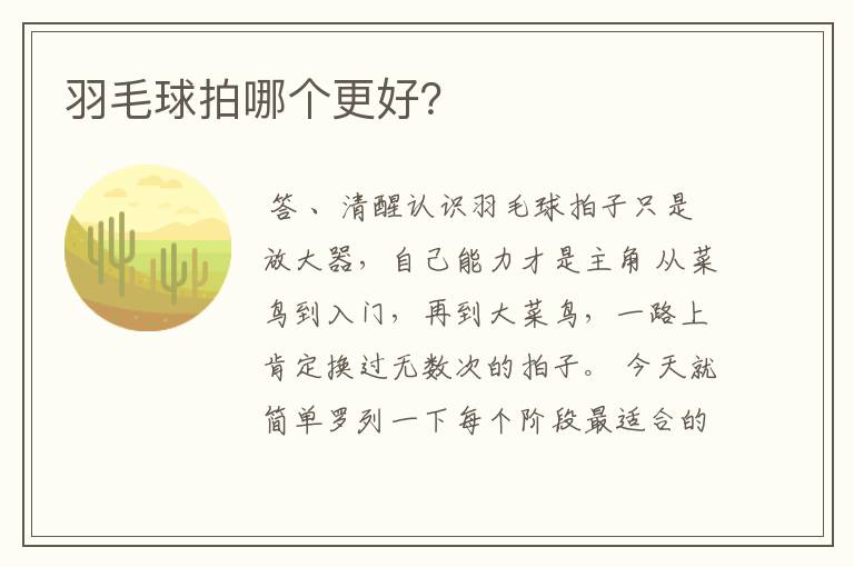 羽毛球拍哪个更好?