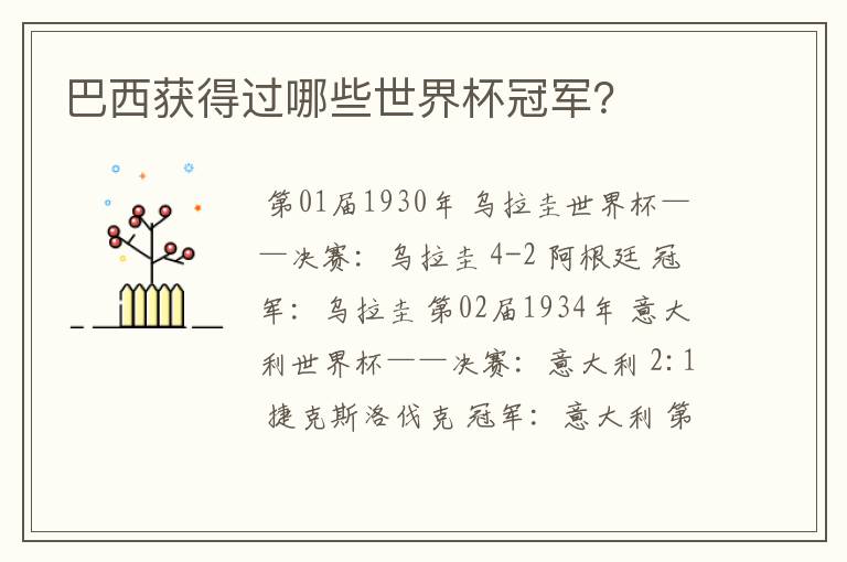 巴西获得过哪些世界杯冠军?