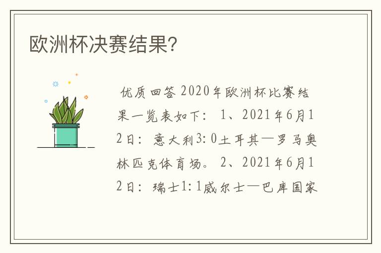 欧洲杯决赛结果?