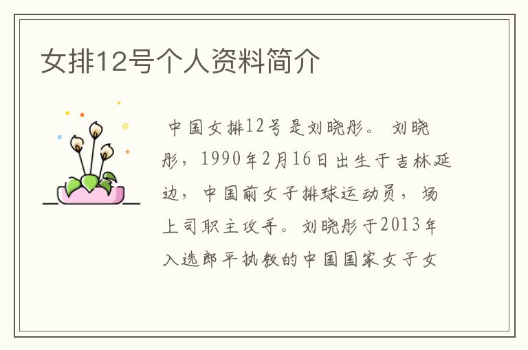 女排12号个人资料简介