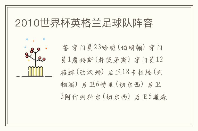2010世界杯英格兰足球队阵容