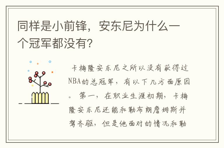 同样是小前锋,安东尼为什么一个冠军都没有?