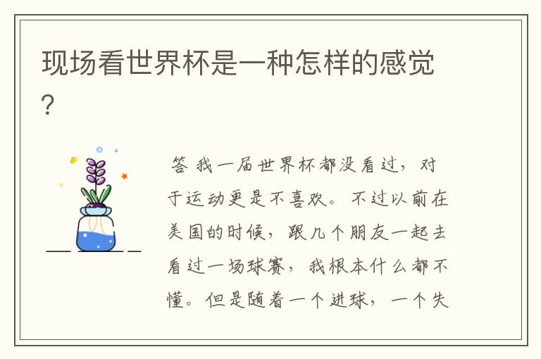 现场看世界杯是一种怎样的感觉?