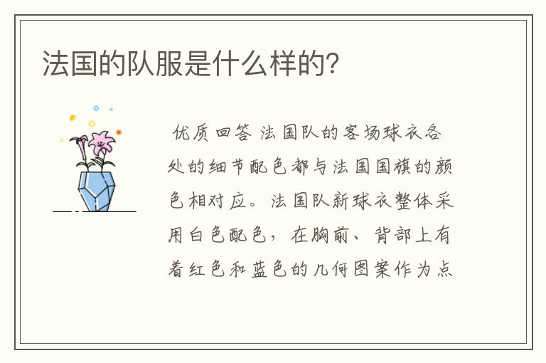 法国的队服是什么样的?
