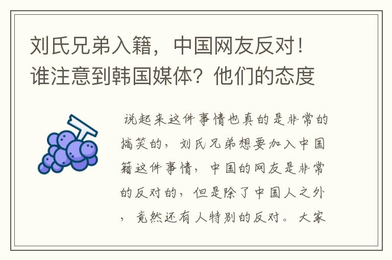 刘氏兄弟入籍,中国网友反对!谁注意到韩国媒体?他们的态度如何?