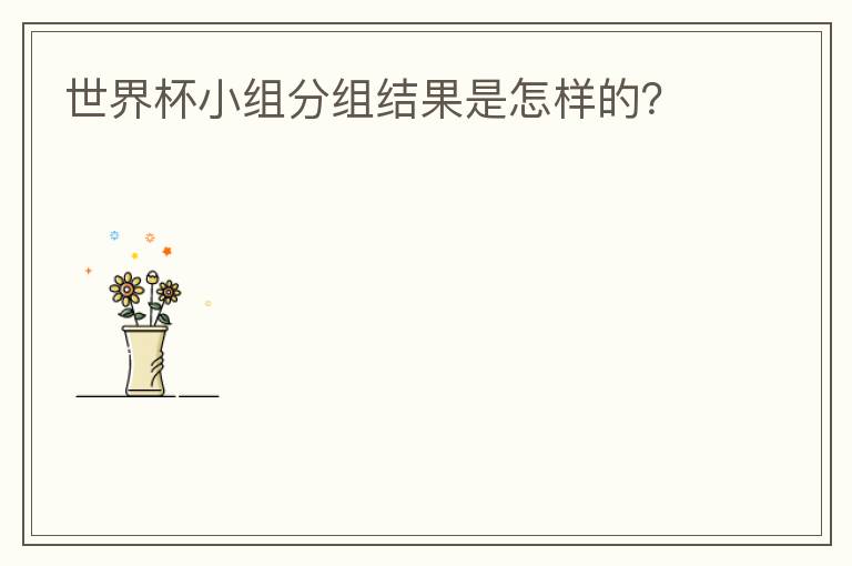 世界杯小组分组结果是怎样的?