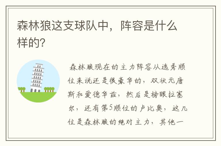 森林狼这支球队中,阵容是什么样的?