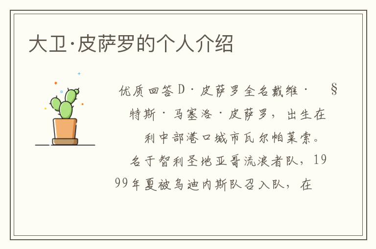 大卫·皮萨罗的个人介绍