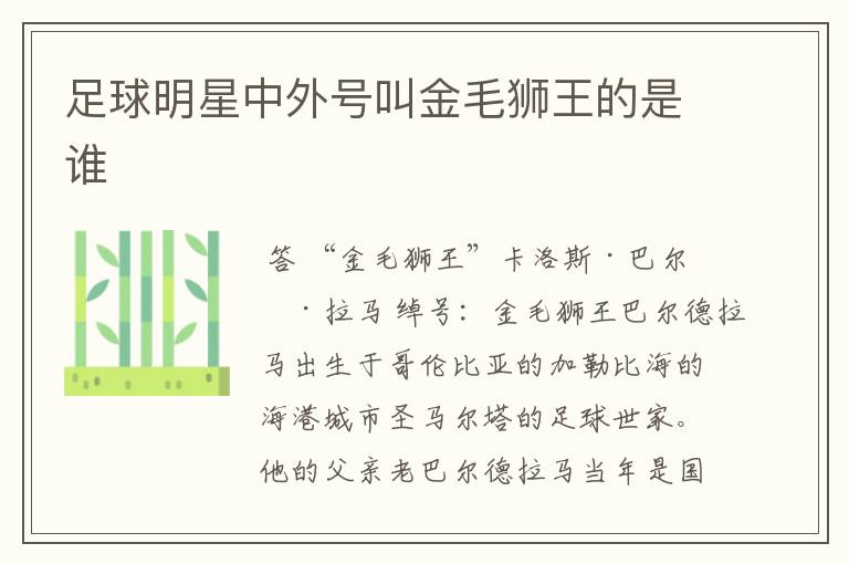 足球明星中外号叫金毛狮王的是谁