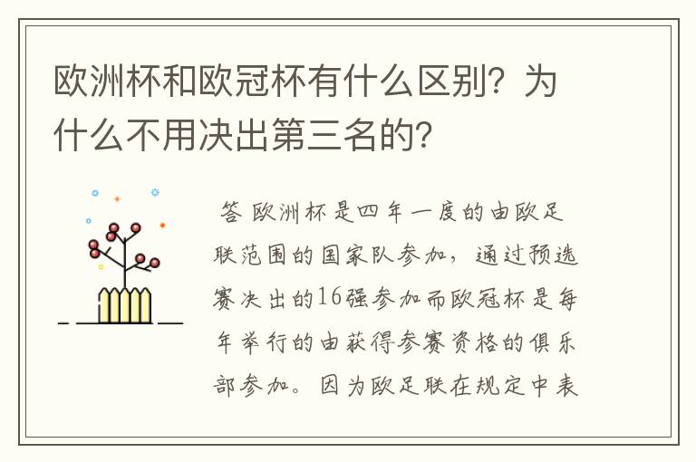 欧洲杯和欧冠杯有什么区别?为什么不用决出第三名的?