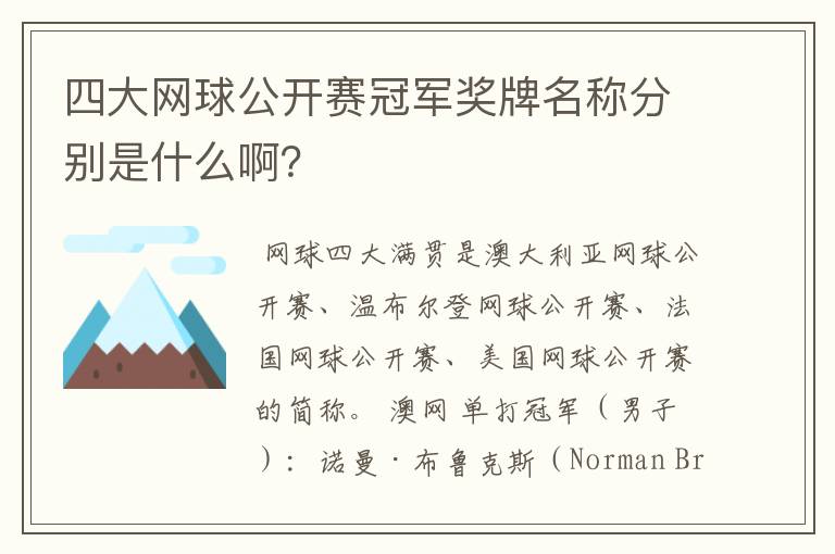 四大网球公开赛冠军奖牌名称分别是什么啊?
