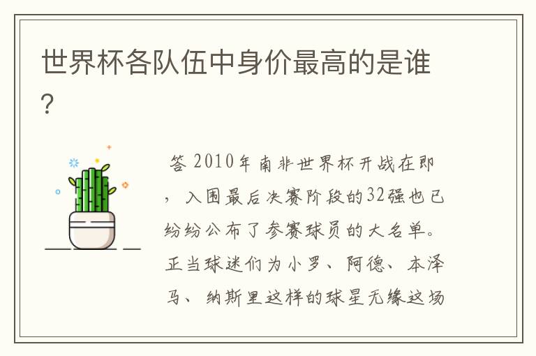 世界杯各队伍中身价最高的是谁?