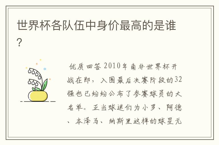 世界杯各队伍中身价最高的是谁?