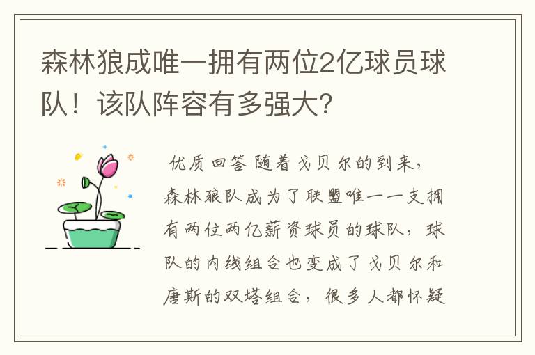 森林狼成唯一拥有两位2亿球员球队!该队阵容有多强大?