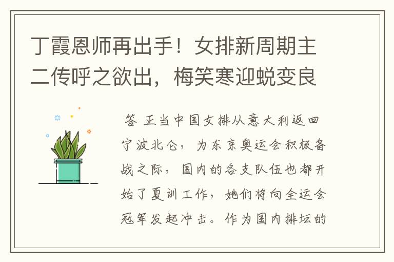 丁霞恩师再出手!女排新周期主二传呼之欲出,梅笑寒迎蜕变良机
