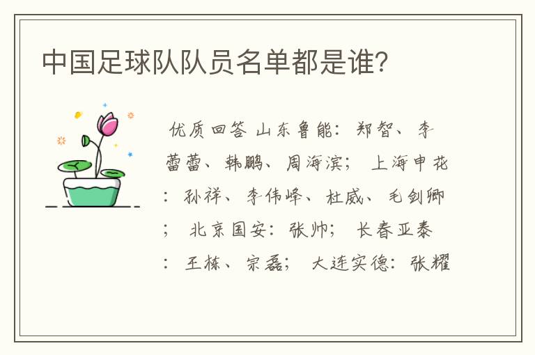中国足球队队员名单都是谁?