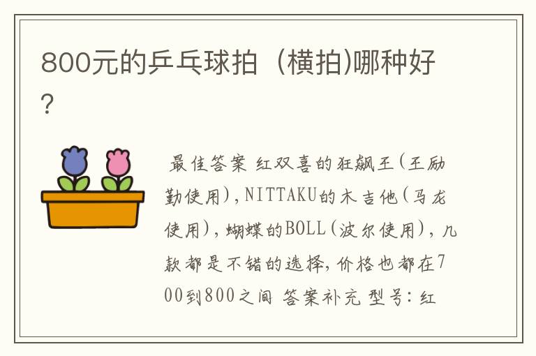 800元的乒乓球拍(横拍)哪种好?