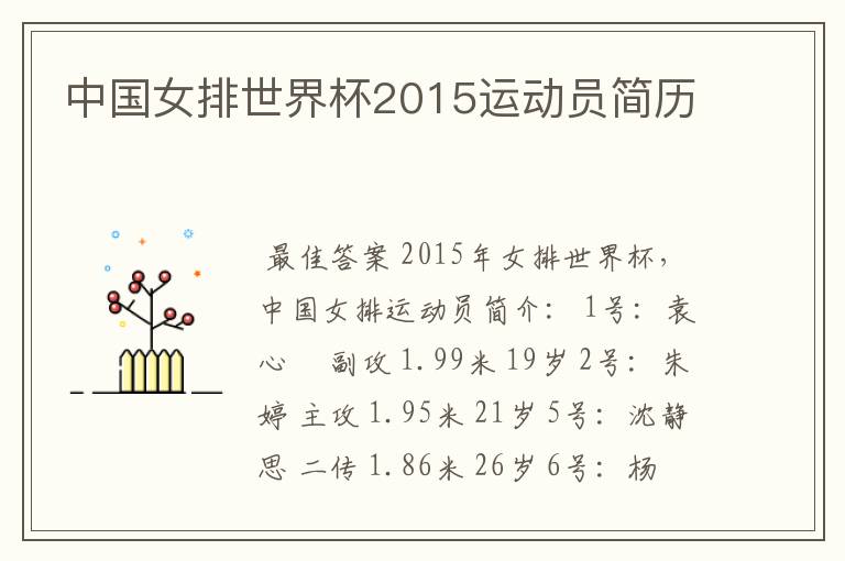 中国女排世界杯2015运动员简历