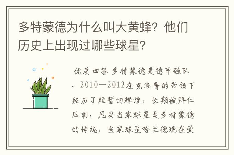 多特蒙德为什么叫大黄蜂?他们历史上出现过哪些球星?