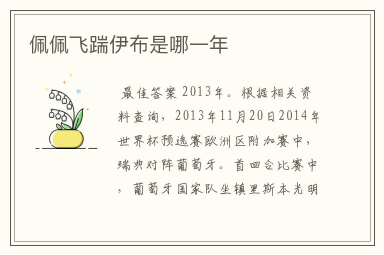 佩佩飞踹伊布是哪一年