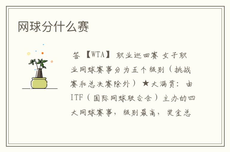 网球分什么赛
