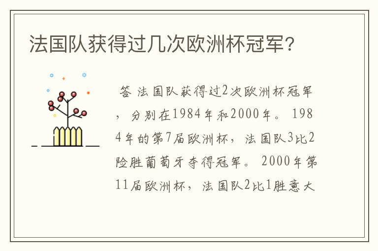 法国队获得过几次欧洲杯冠军?