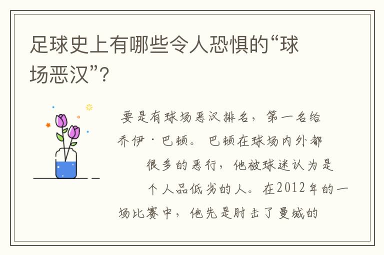 足球史上有哪些令人恐惧的“球场恶汉”?