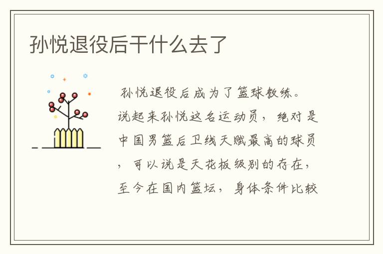 孙悦退役后干什么去了