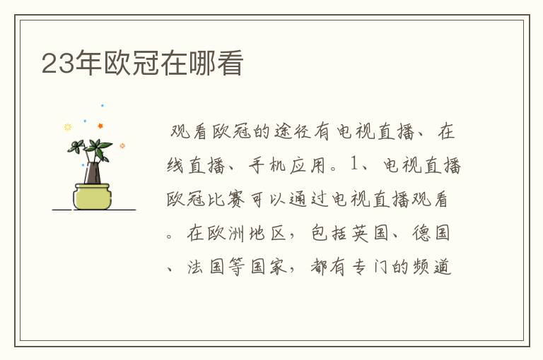 23年欧冠在哪看