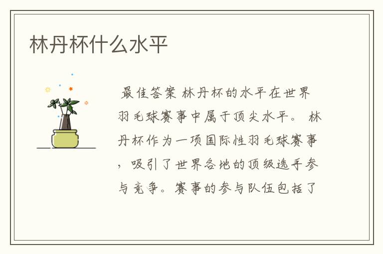 林丹杯什么水平