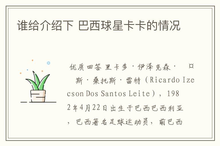 谁给介绍下 巴西球星卡卡的情况
