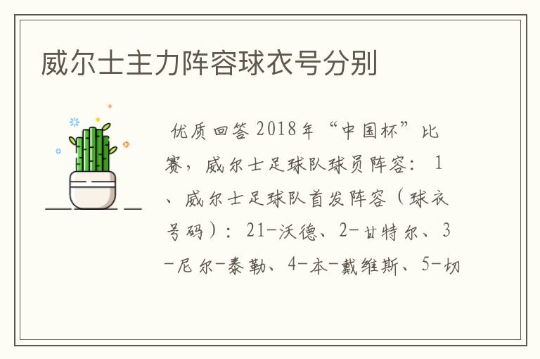 威尔士主力阵容球衣号分别