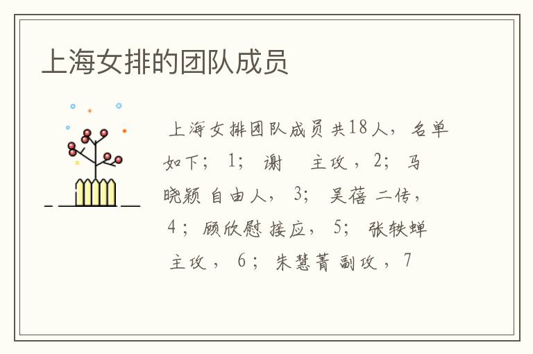 上海女排的团队成员