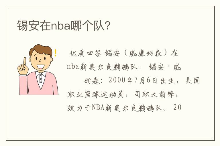 锡安在nba哪个队?
