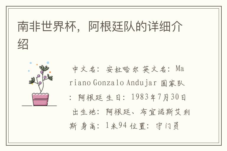南非世界杯,阿根廷队的详细介绍