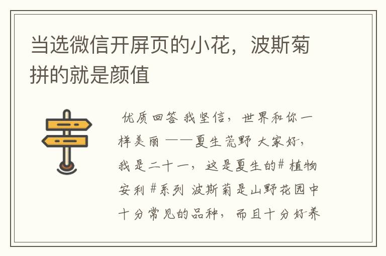 当选微信开屏页的小花,波斯菊拼的就是颜值