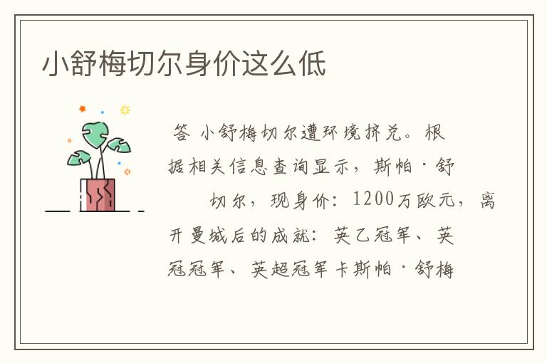 小舒梅切尔身价这么低
