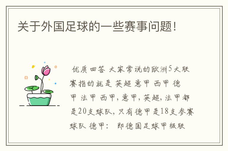 关于外国足球的一些赛事问题!