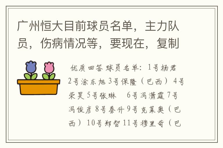 广州恒大目前球员名单,主力队员,伤病情况等,要现在,复制的别来!